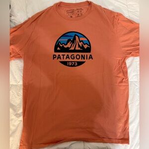 Patagonia Men's Mountain Logo Graphic Tee Sz L